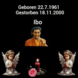 Ibo